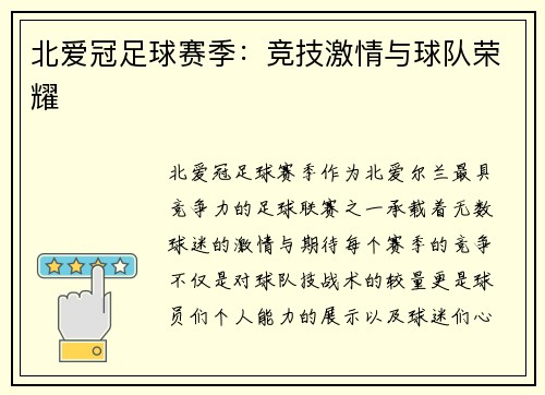 北爱冠足球赛季：竞技激情与球队荣耀