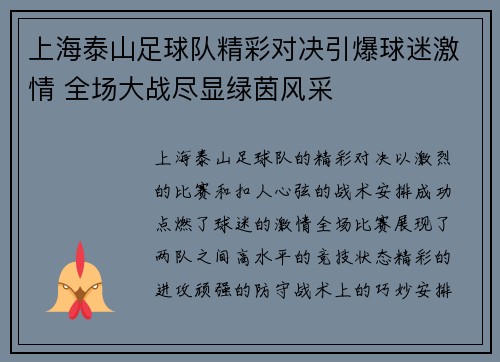 上海泰山足球队精彩对决引爆球迷激情 全场大战尽显绿茵风采