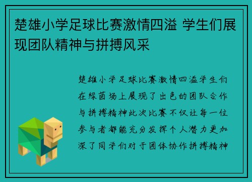 楚雄小学足球比赛激情四溢 学生们展现团队精神与拼搏风采