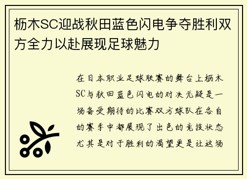枥木SC迎战秋田蓝色闪电争夺胜利双方全力以赴展现足球魅力