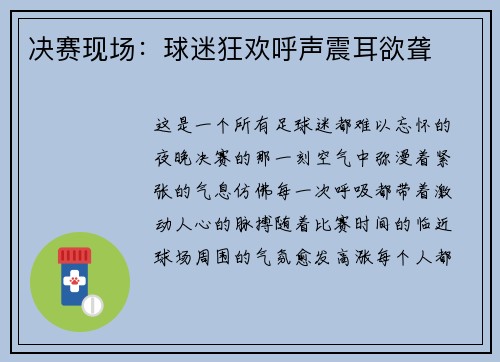 决赛现场：球迷狂欢呼声震耳欲聋