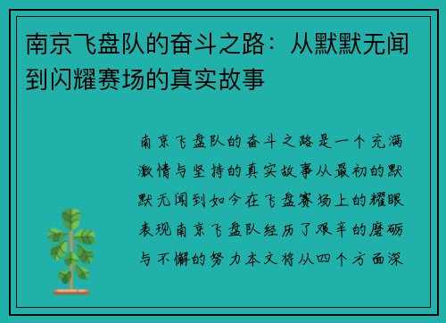 南京飞盘队的奋斗之路：从默默无闻到闪耀赛场的真实故事